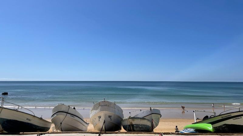 Cigale - 1 Bedroom Apartment - Close to the Beach - Olhos de Agua - image 15