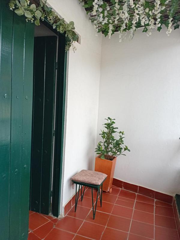 Aparta Hotel Eucalyptus - image 10