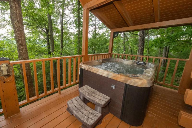 Horseshoe Hideaway - image 44