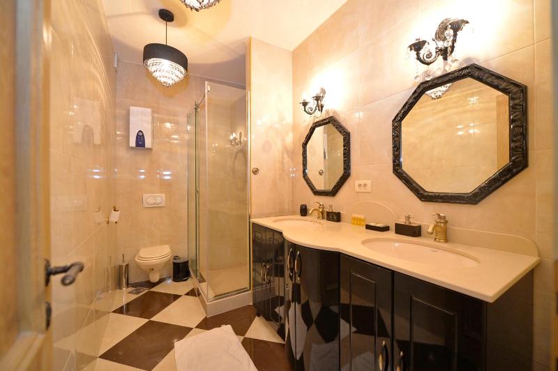 Standard Suite image 2