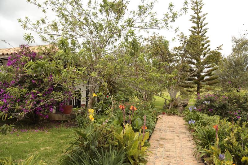Finca Villa Sofía - image 12