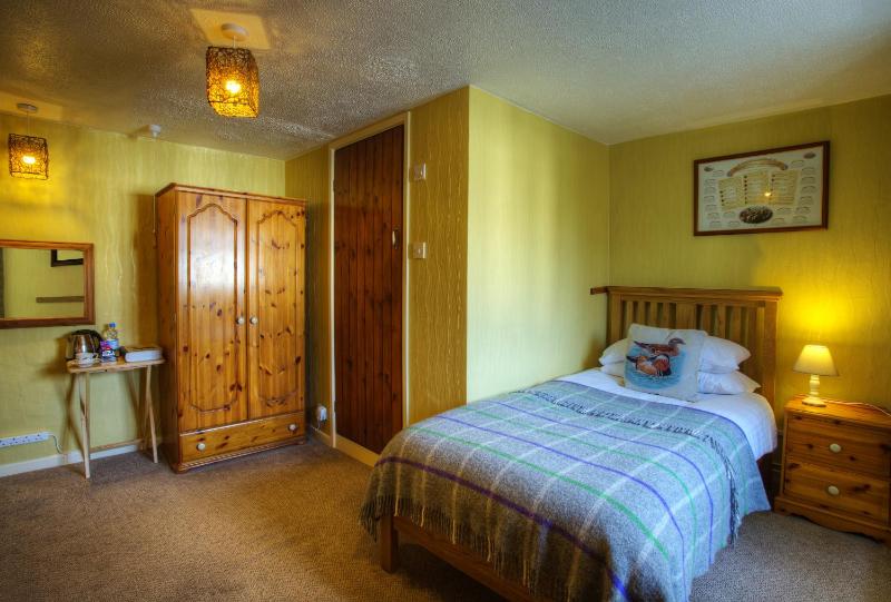 Classic Single Room image 4