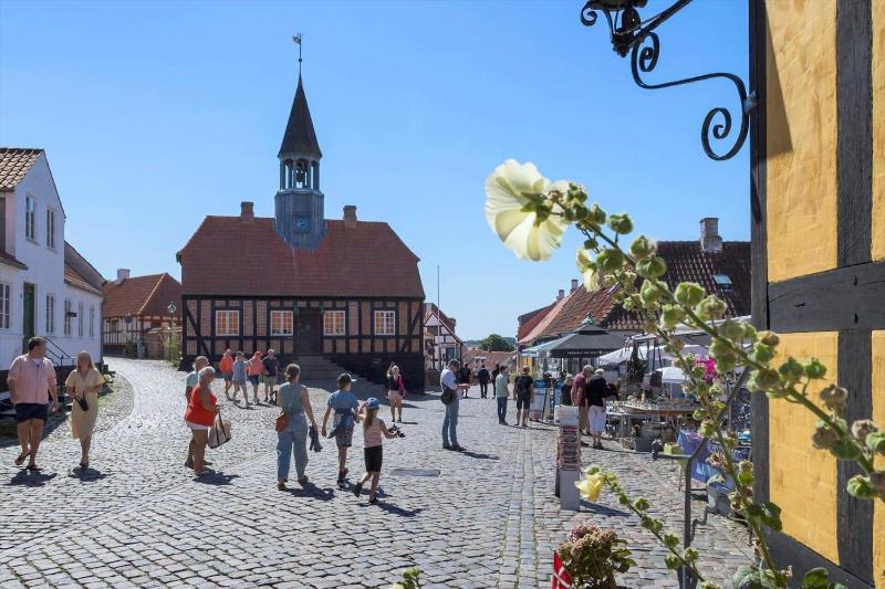 8491-Ebeltoft-Staerevej-17 - image 35