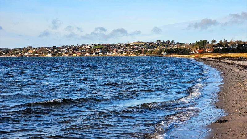 84201-Ebeltoft-Sardinvej-10 - image 15