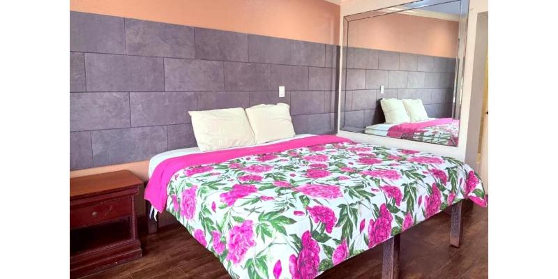 Regency Inn Houston near Hobby Airport - image 25