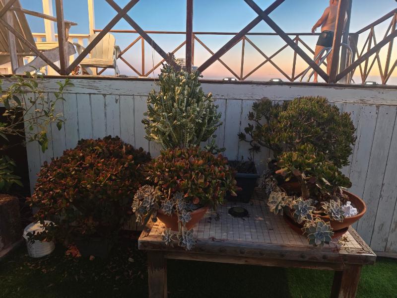 La Casita - image 43