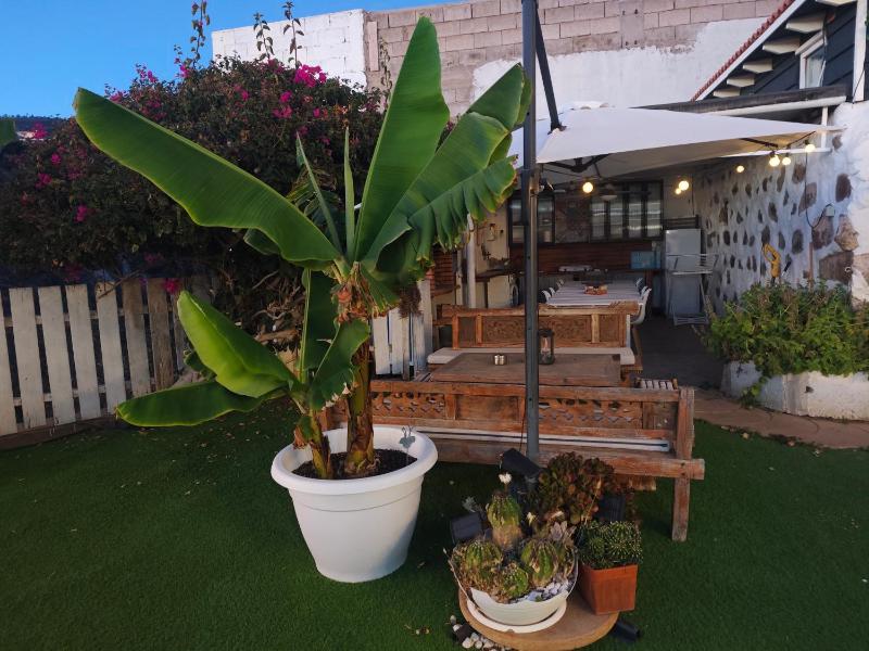 La Casita - image 44