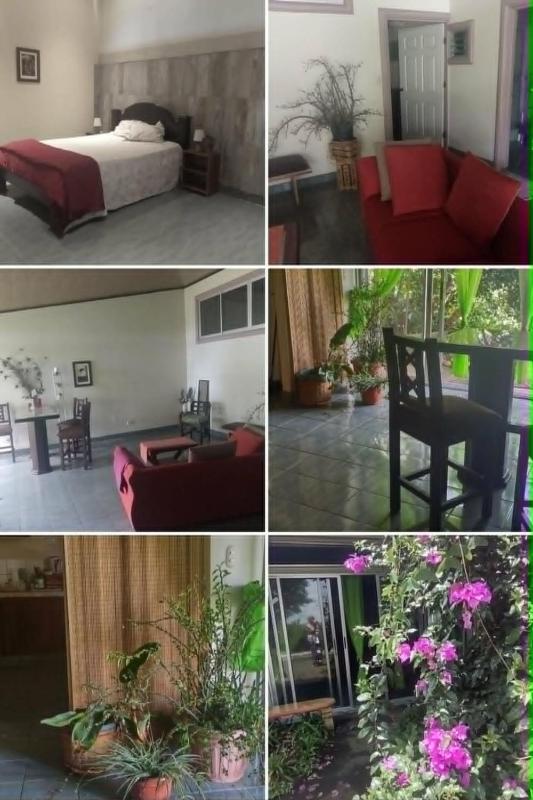 Charming Apartment Rental in San Isidro de Grecia Costa Rica - image 14