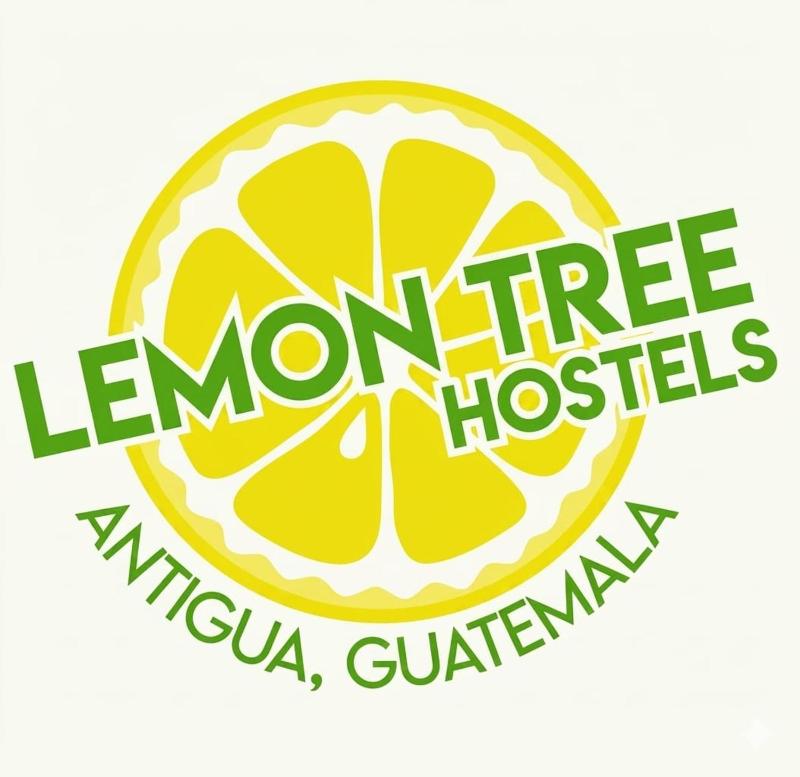 Lemon Tree Hostel - image 5