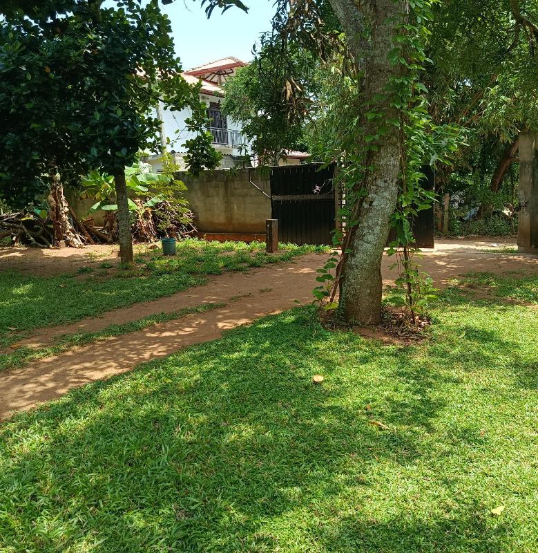 Grandbell Family Resort - image 9