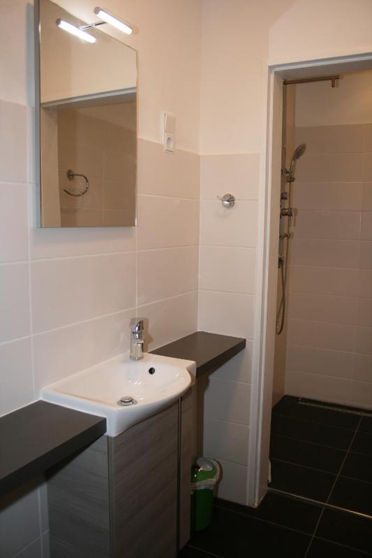 Deluxe Family Room image 2