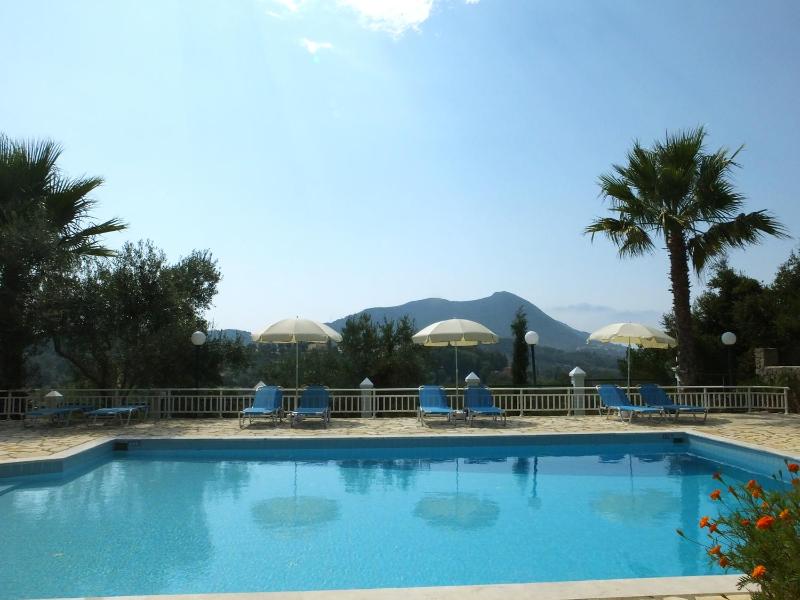 Superior Villa image 3