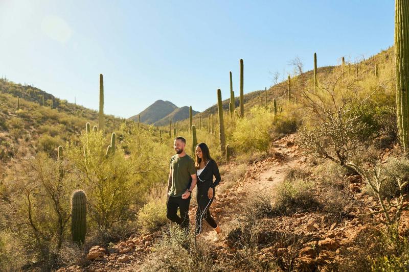 JW Marriott Tucson Starr Pass Resort & Spa - image 47