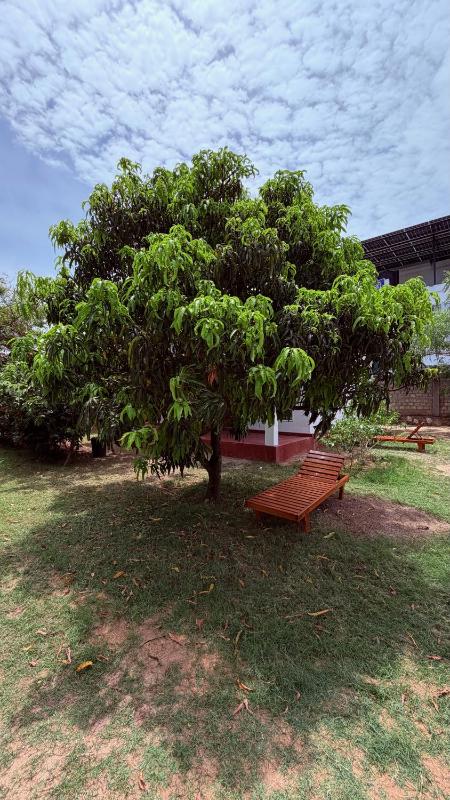 JEYs Place - image 20