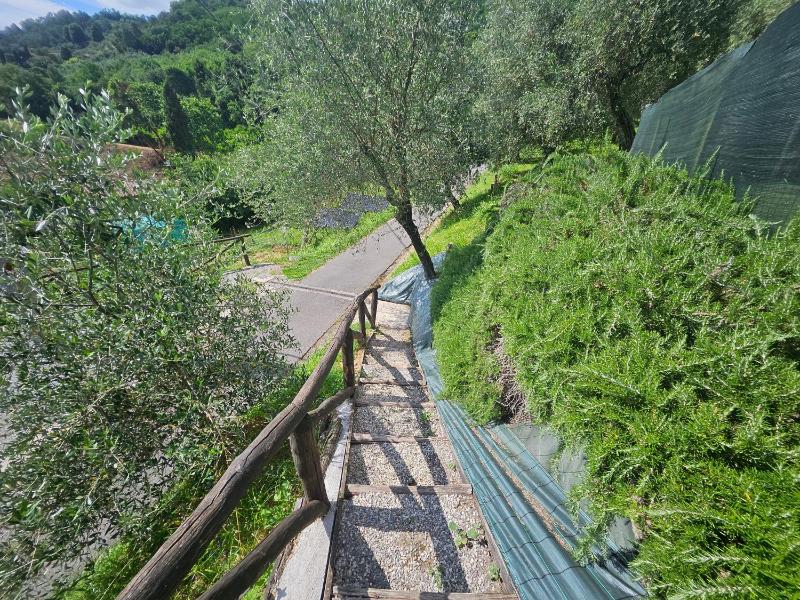 Alla Piazzetta - image 29