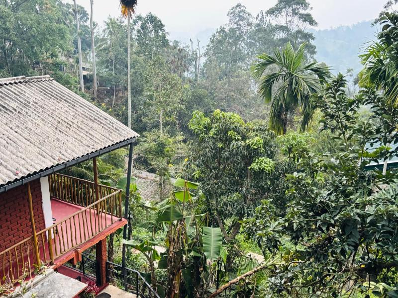 New Green View Guest House Ella - image 44