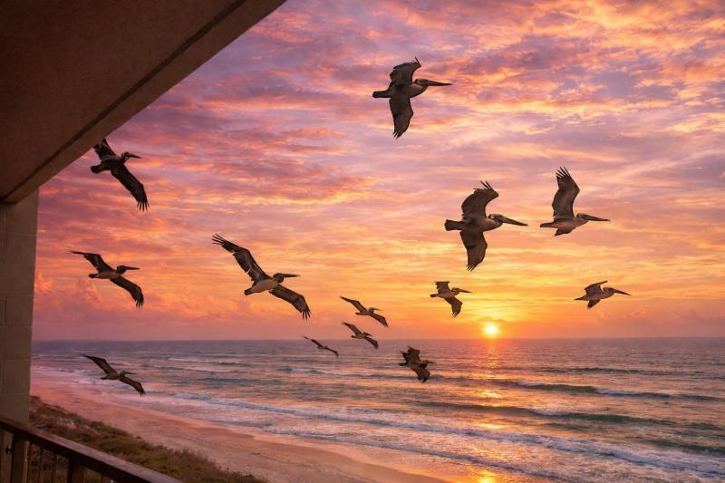 Gulf Shores Unit 601 - image 38