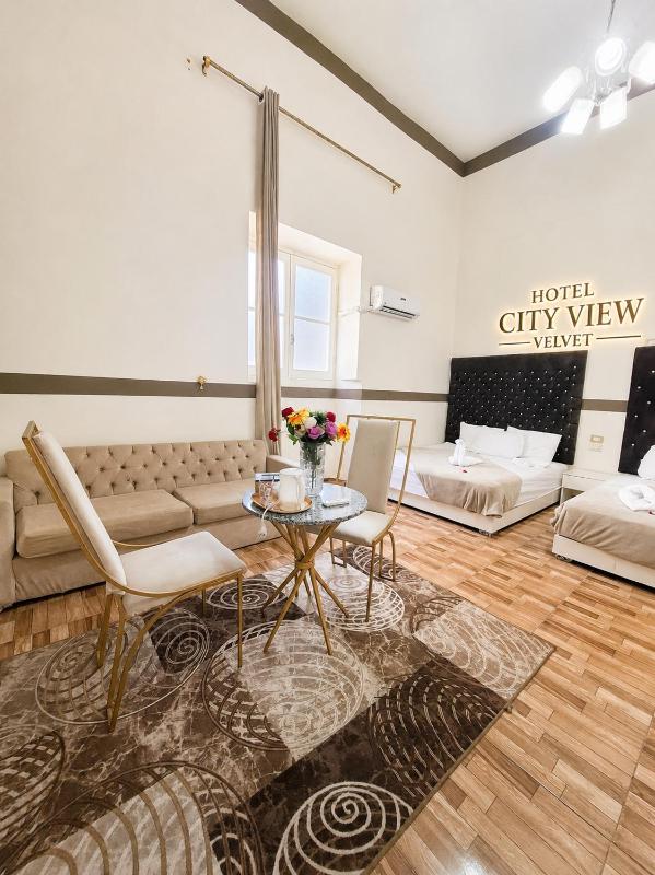 Velvet city view - image 16