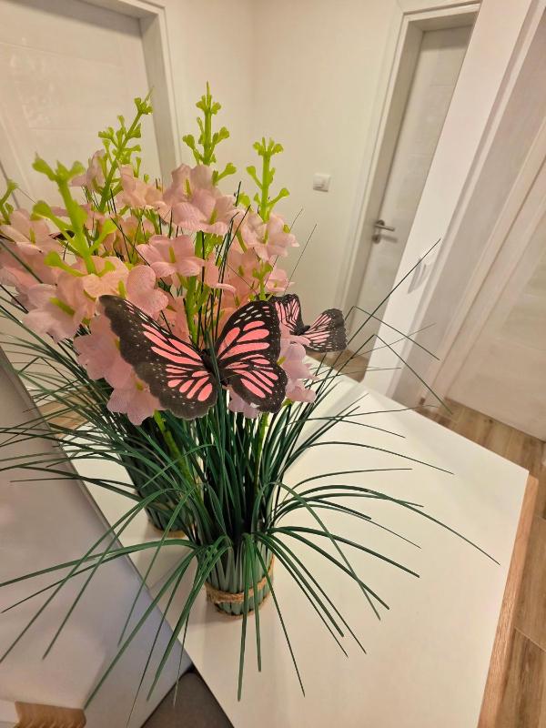 DOCA APARTMAN Sokobanja - image 3