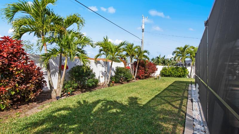 Sunkissed Palms - image 10