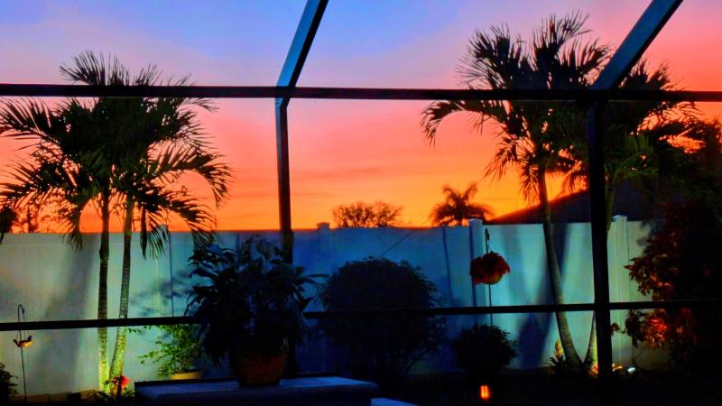 Sunkissed Palms - image 15