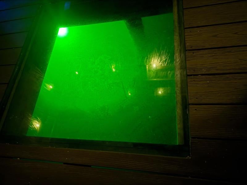 Sun Salt & Sand - image 18