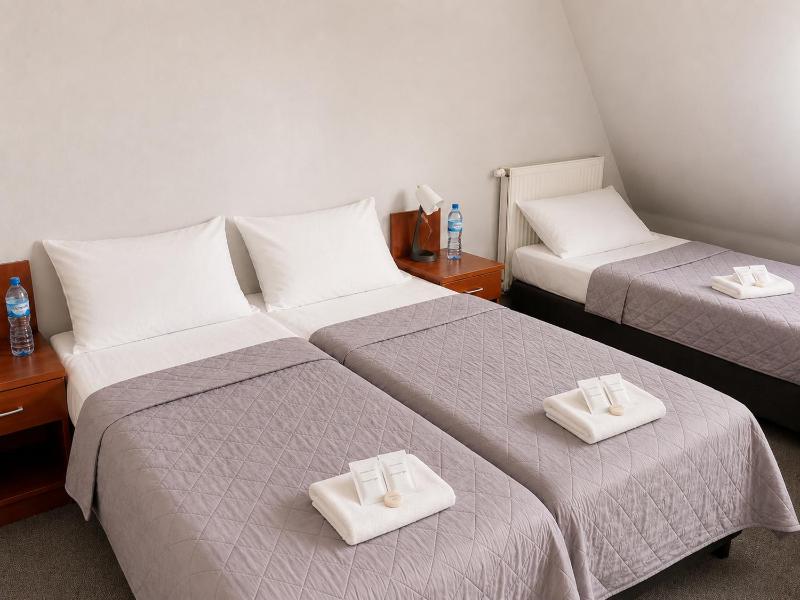 Hotel Karolinka - image 22