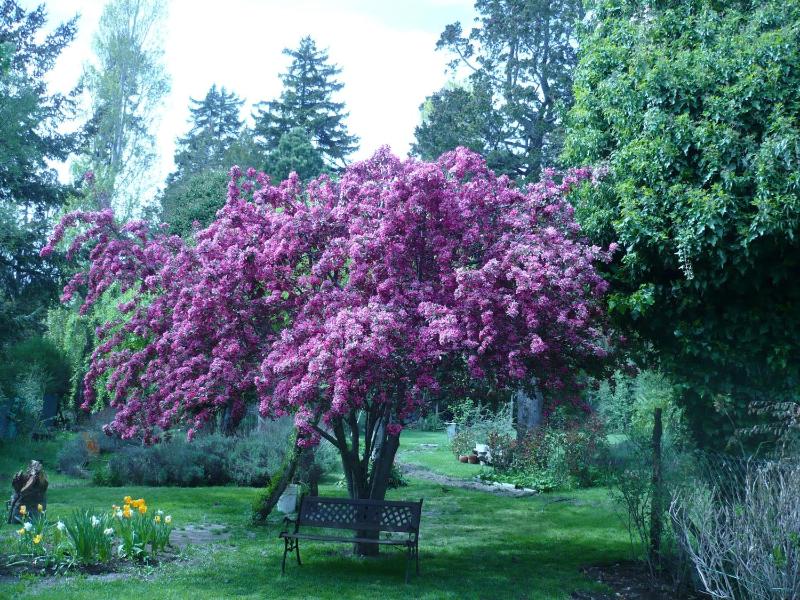 El lugar de la Flor - image 14