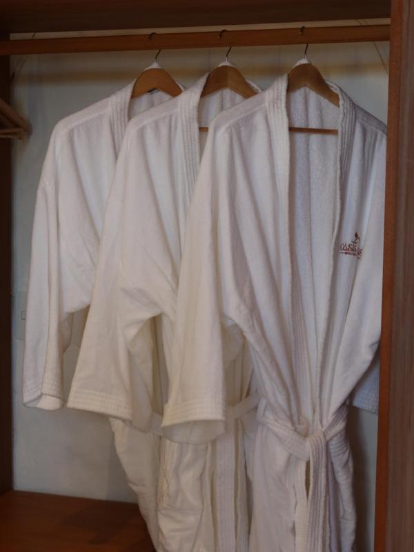 Oásis Atins Boutique Hotel - image 6