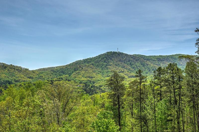 Mountain Dream Lodge - image 8