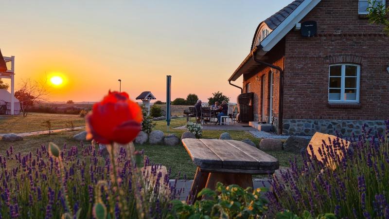 Landhaus Gager - 100 m zum Yachthafen - image 35