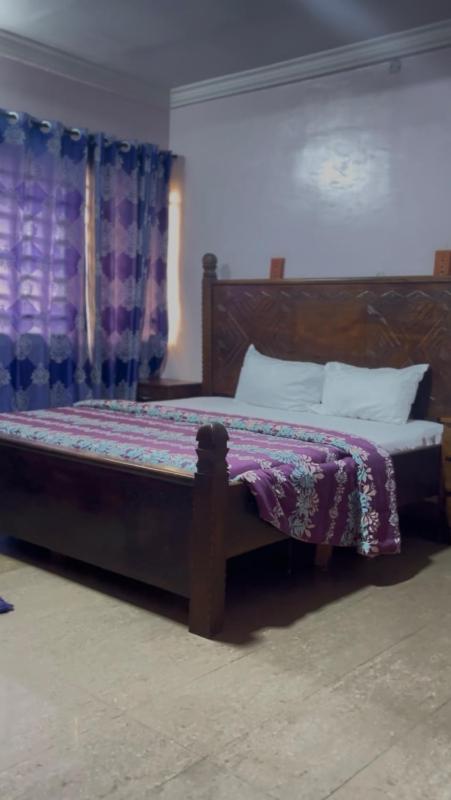 Diamond Hotel Lagos - image 1