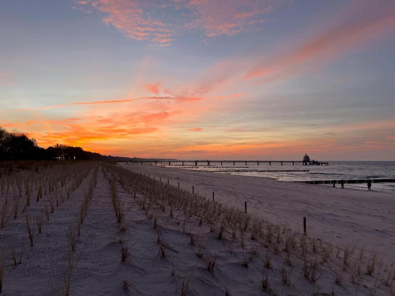Strandrose - image 9