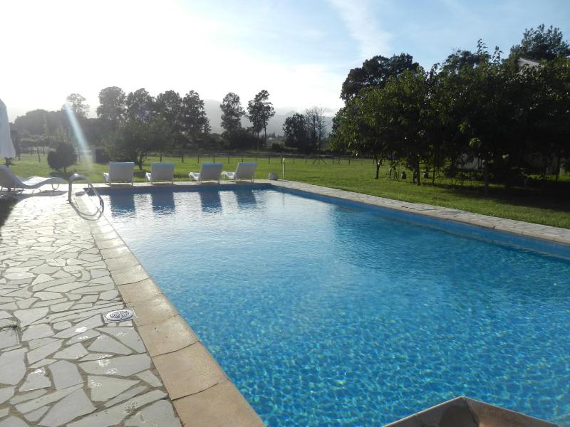 Two-Bedroom Villa (4 Adults) image 3