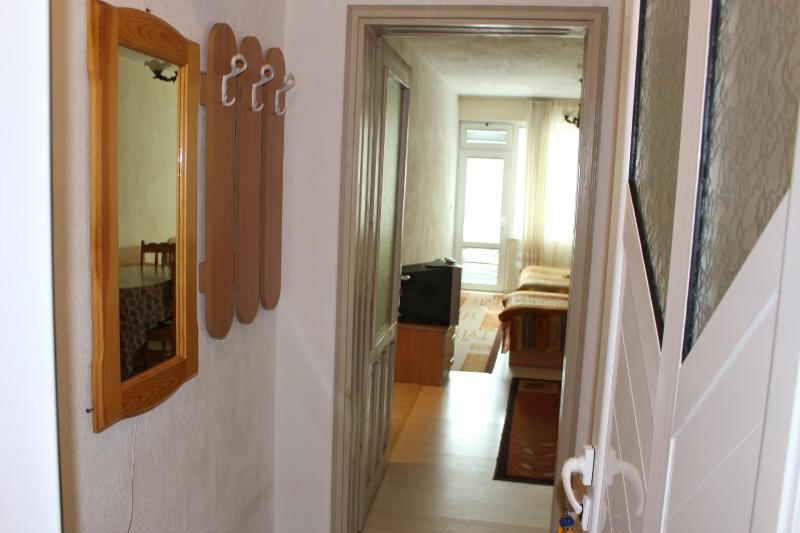 Studio with Balcony image 4
