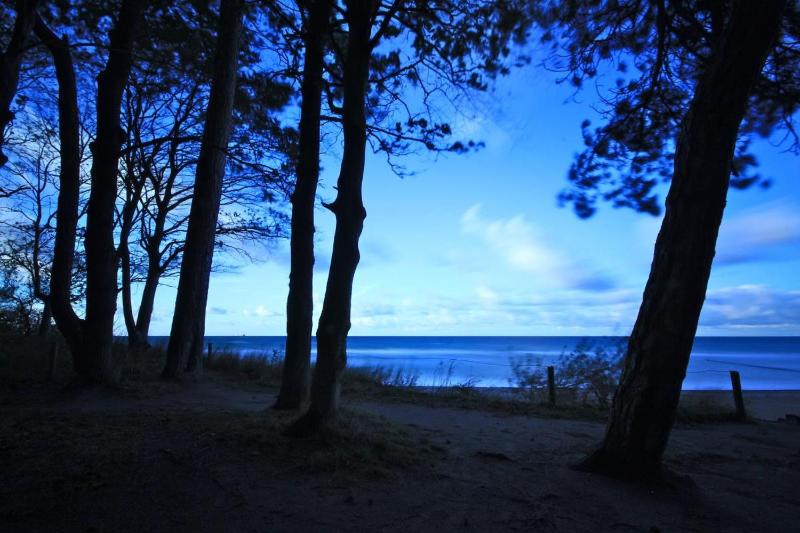 Strandpalais/Luv - image 11