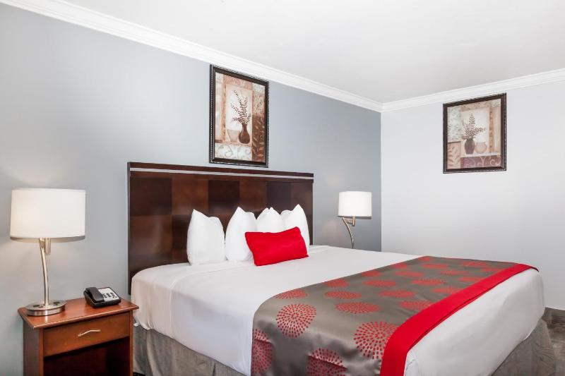 King Room - Non-Smoking image 4