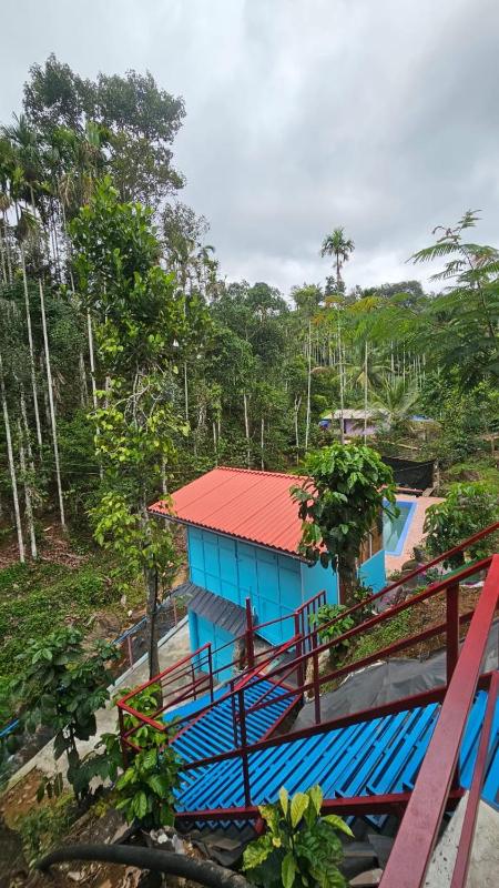 WildCliff pool huts - image 38