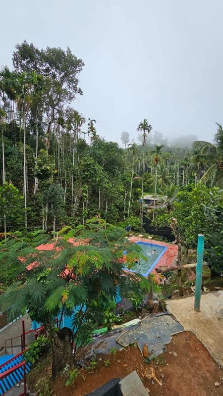 WildCliff pool huts - image 37
