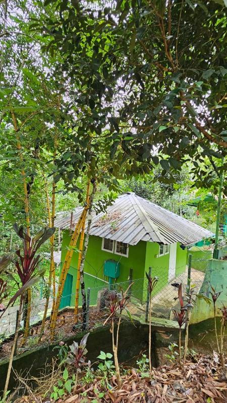 WildCliff pool huts - image 10