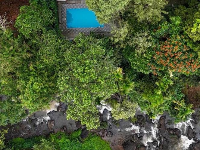 WildCliff pool huts - image 26