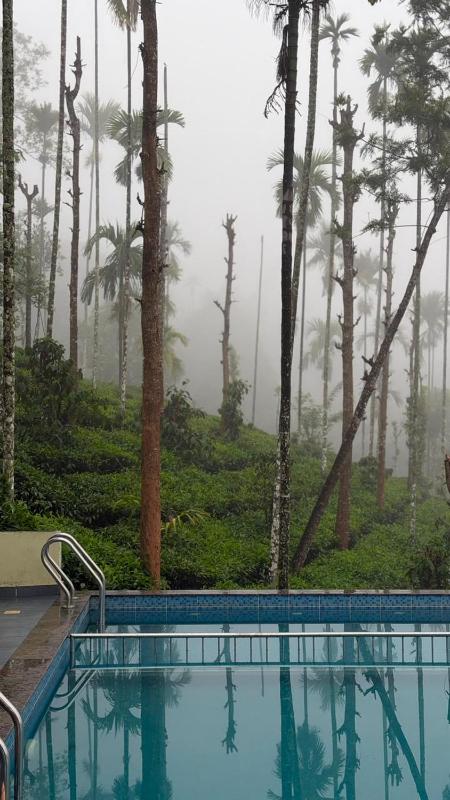 WildCliff pool huts - image 15