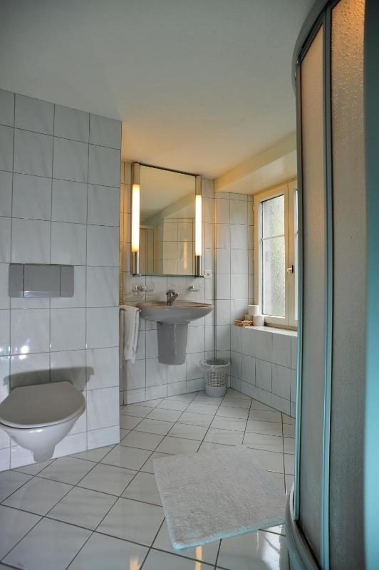 Deluxe Double or Twin Room image 3