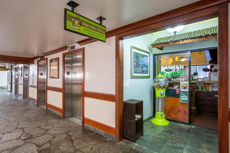 21st Floor Condo With View of Ko'olau Mountains and the Ala Wai Canal condo - image 16