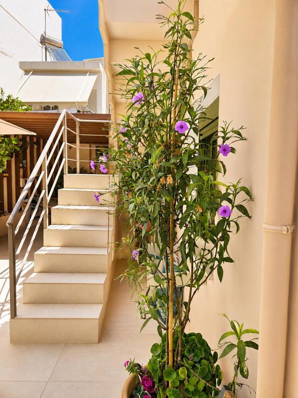Casa Enetiko - image 6