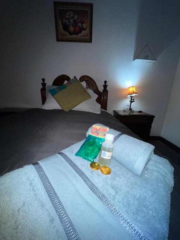 Inca's Room - image 7
