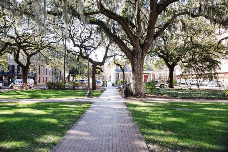 Oglethorpe Square Historic Apt Central & Walkable - image 10