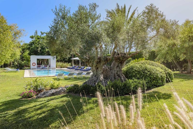 Finca Playa Llenaire - image 31