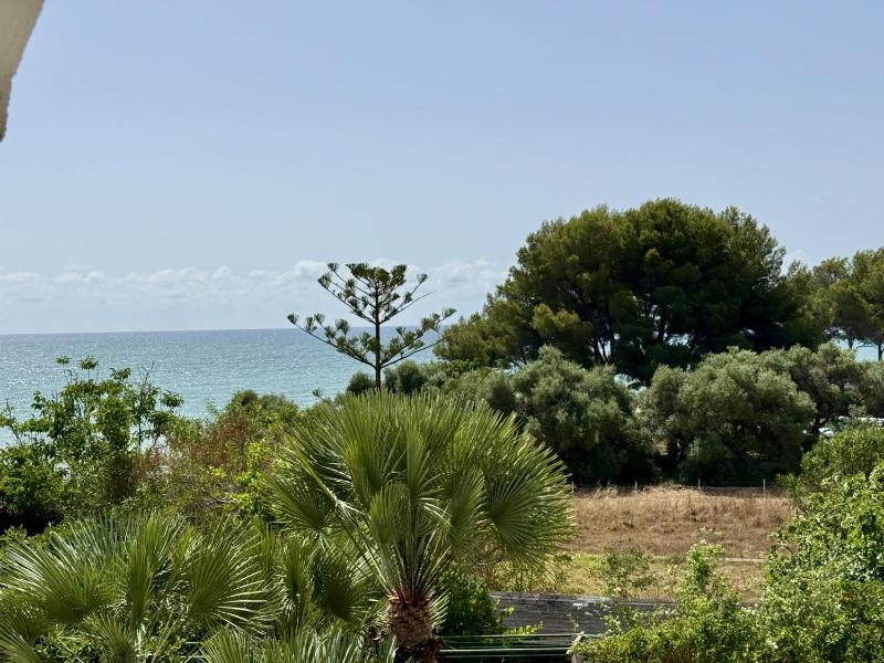Finca del Moro - image 11