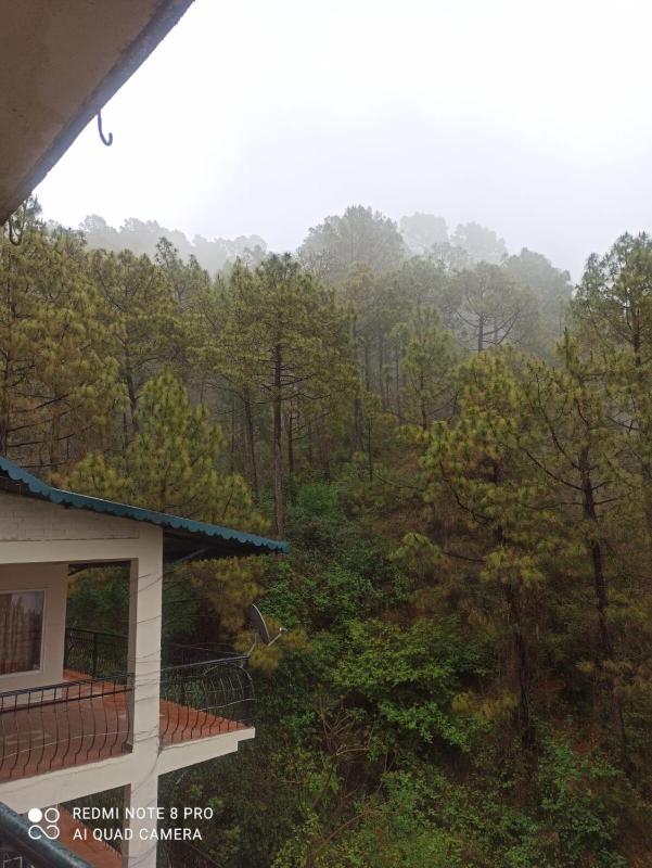 Cloudview Pines Cabin Resort Style Pvt Stay - image 33
